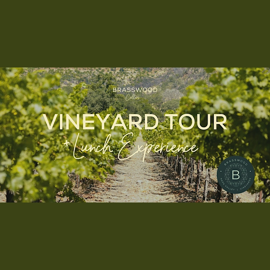 Read more about the article August 15th, 2024<br><strong>Vineyard Tour + Lunch Experience</strong><br><i>Upcoming Events</i>